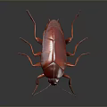 Detailed Red Cockroach With Shiny Exoskeleton And Long Legs On Dark Background