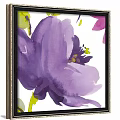 Watercolor Botanical Paintings with Red White Purple Flowers in Black Gold Frames on Dark Wall