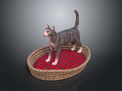 Gray Cat With Yellow Eyes Standing On Wicker Basket With Red Plaid Cushion 3d model