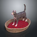 Gray Cat With Yellow Eyes Standing On Wicker Basket With Red Plaid Cushion