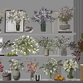 Decorative Vases With Various Fresh Flowers Displayed On Home Shelves