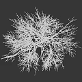 Snow Covered Arbor Trees With Frosted Branches In Winter Landscape 3d model