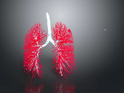 3D Lung Anatomical Medical Device With Detailed Bronchial Structure For Visualization 3d model