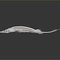 Modern shovel sturgeon skeletal fish skeletal fish freshwater fish 3d model