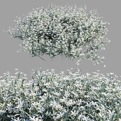 White Small Flowers With Green Leaves Clustered In Natural Garden Setting 3d model