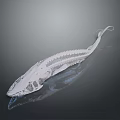 3D Printed Fish Skeleton Anatomical Model Medical Device for Biomedical Education