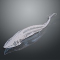 Modern shovel sturgeon skeletal fish skeletal fish freshwater fish 3d model