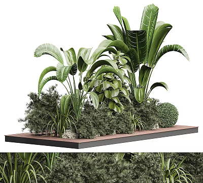 Diverse Green Tropical Plants With Various Leaves On Wooden Decorative Platform 3d model