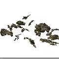 Natural Wooden Stone Pieces With Green Moss Scattered On White Background