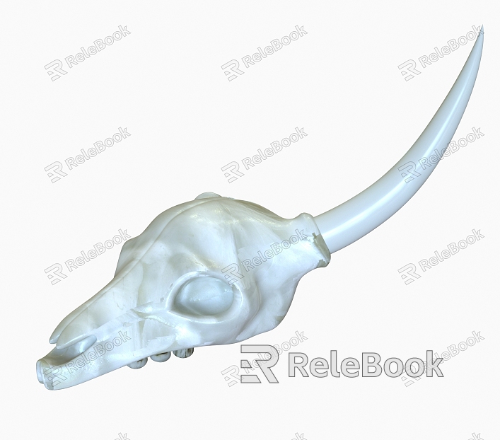 Deer Skull model