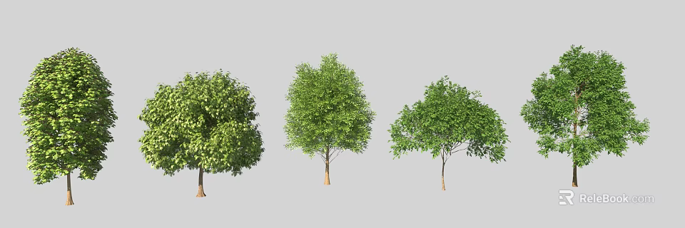 Three Arbor Trees With Various Green Leaves And Brown Trunks On Gray Background 3d model