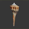 Orange And White Striped Spiral Conch Shell With Natural Marine Texture