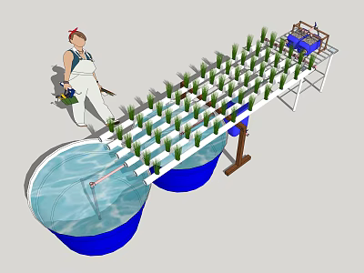 Person With Tools Maintaining Hydroponic Green Plant Rows In Blue Water Containers 3d model