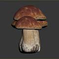 Three Fresh Red Brown Cap Mushrooms With White Stems And Glossy Surface