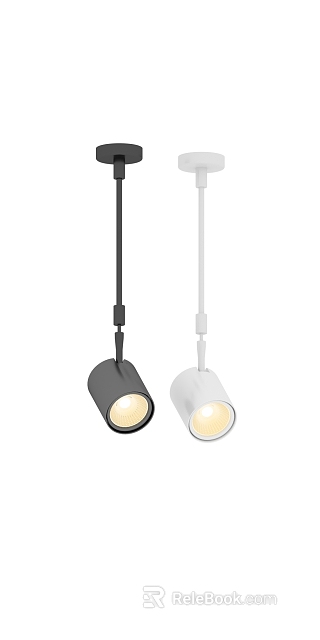 Modern Black And White Downlight Spotlight For Home Interior Lighting Design 3d model 