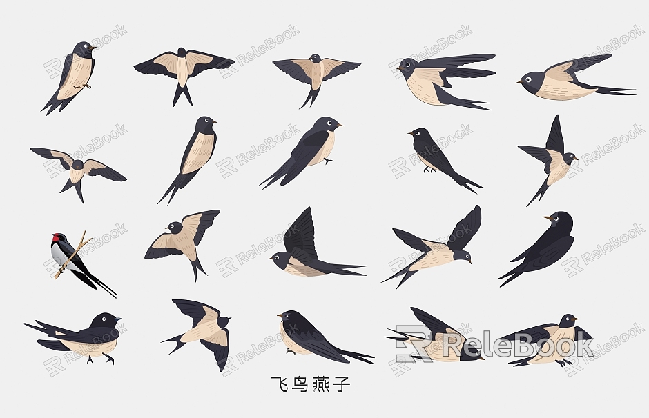 Spring swallow swallow bird hand-painted illustration model