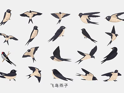 Spring swallow bird hand-painted illustration 3d model