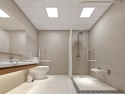 Accessible Restroom Design With Toilet Sink Shower And Grab Bars 3d model
