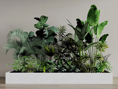 Indoor Bonsai Potted Plant With Lush Green Leafy Foliage In White Container 3d model