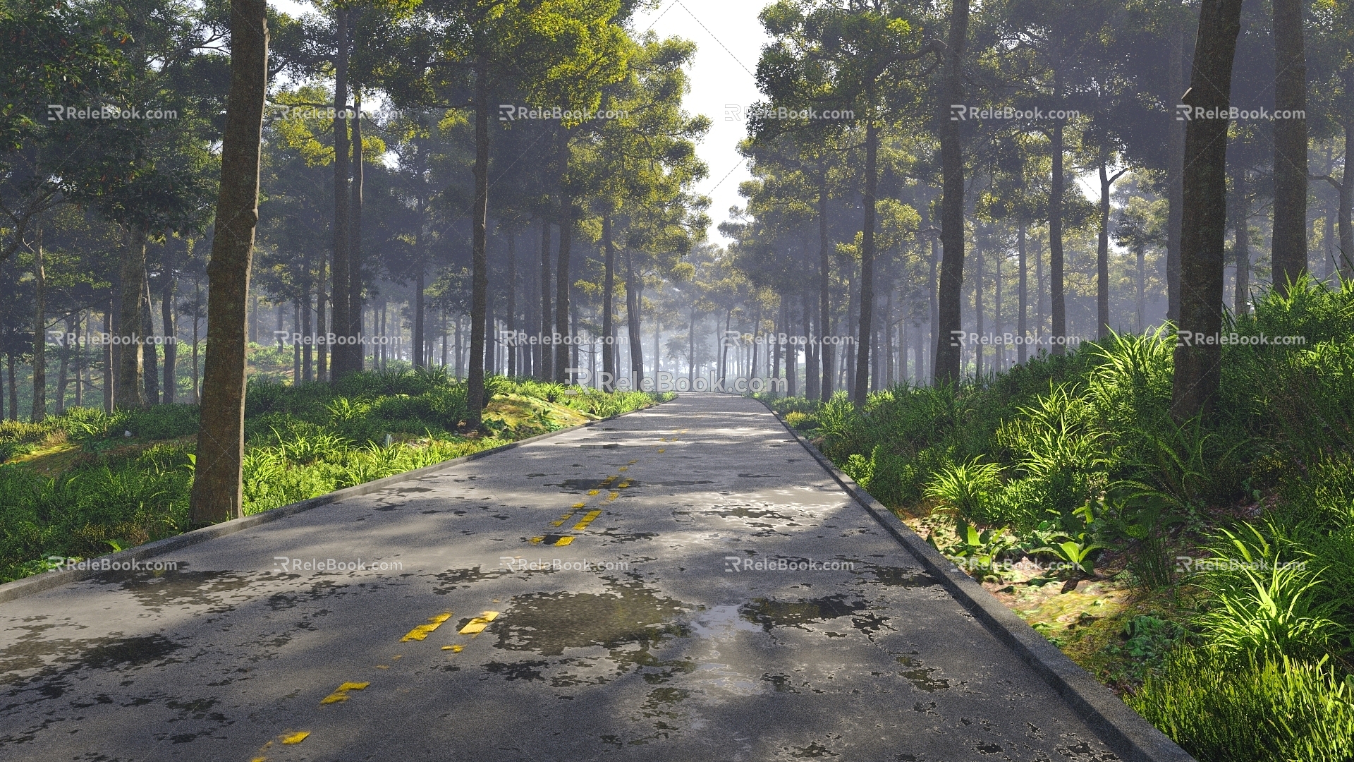 Forest Road Shrub Morning Park Outdoor 3d model