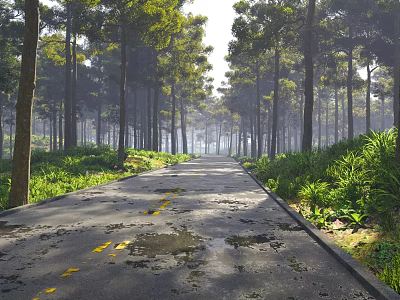 Arbor Trees Lined Sunlit Forest Avenue With Grassy Sides And Country Road 3d model