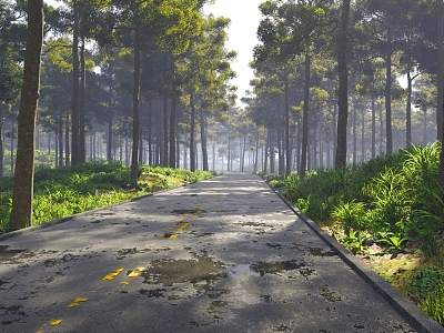 Forest Road Shrub Morning Park Outdoor 3d model