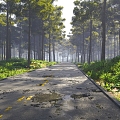 Forest Road Shrub Morning Park Outdoor 3d model