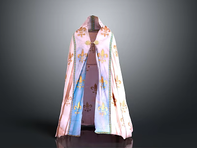 Pink And Blue Cloak With Gold Floral Patterns And Decorative Trim 3d model
