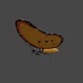 Flying Butterfly With Orange Wings Black Edges And White Spots On Brown Background