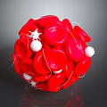 Innovative Medical Device Visualizing Red Blood Cells and White Blood Cells Connections