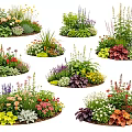 Colorful Diverse Plant Combinations For Garden Landscaping And Yard Design