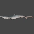 Realistic Shark Figure With Sleek Body And Fin Details On Gray Backdrop