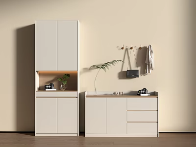Modern White Shoe Cabinet Design With Hanging Hooks Drawers And Plant Decor 3d model