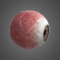 Detailed Human Eye 3D Model Showing Brown Pupil And Vascular Texture On Gray Background