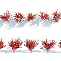 Red Decorative Shrubs Arranged in Two Rows with Natural Shadows 3d model