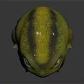 Realistic 3D Frog Model Featuring Green Yellow Body And Yellow Eyes On Black Background