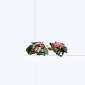 Two Bunches of Blooming Pink and White Flowers with Green Leaves