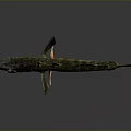 Greenish Brown Fish With Spines On Back And Shiny Scales On Dark Surface