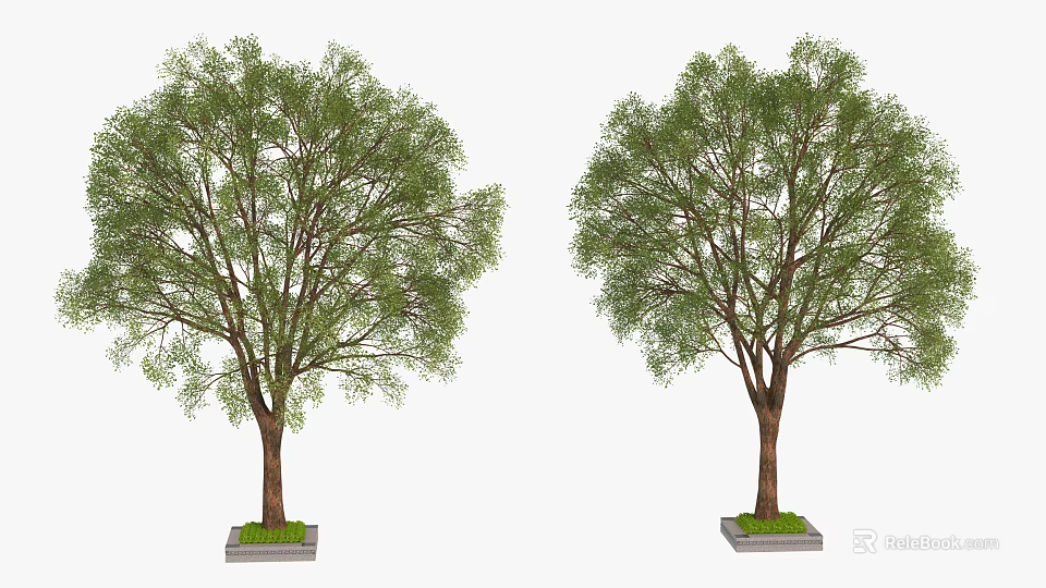 Two Green Arbors With Lush Foliage And Brown Trunk On Square Base 3d model 
