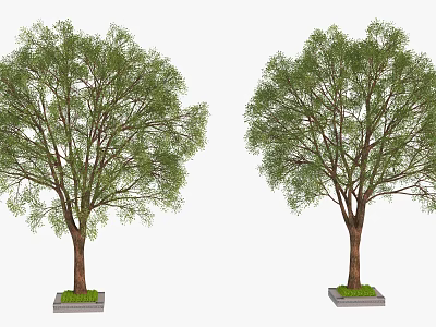 Two Green Arbors With Lush Foliage And Brown Trunk On Square Base 3d model