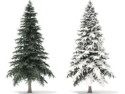 Two Arbor Trees Standing Side by Side One Green Foliage and One Snow Covered 3d model