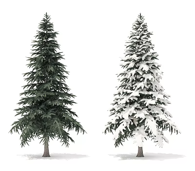 Two Arbor Trees Standing Side by Side One Green Foliage and One Snow Covered 3d model