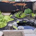 Traditional Courtyard Garden With Rockery Stones Green Plants Pine Tree Lantern And Pebble Path