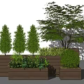 Wooden Flower Planters With Conical Trees Large Tree And Low Green Plants Arranged