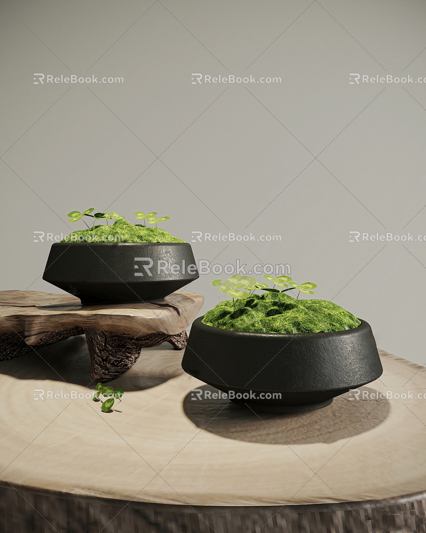 Modern moss bonsai 3d model