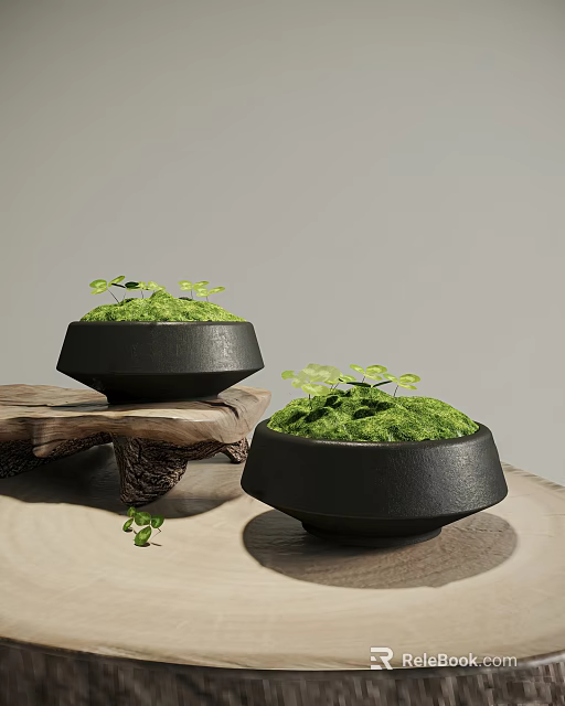 Decorative Moss Plants In Black Bowl Containers On Wooden Base With Small Green Leaves 3d model 