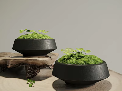 Decorative Moss Plants In Black Bowl Containers On Wooden Base With Small Green Leaves 3d model