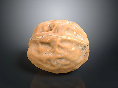Single Natural Walnut With Detailed Surface Texture On Dark Reflective Background 3d model