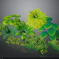 Lush Green Plant Scenery Components With Various Leaves Grass And Bushes