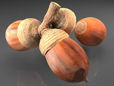 Several 3D Rendered Brown Acorns With Textured Shells On Gray Background 3d model